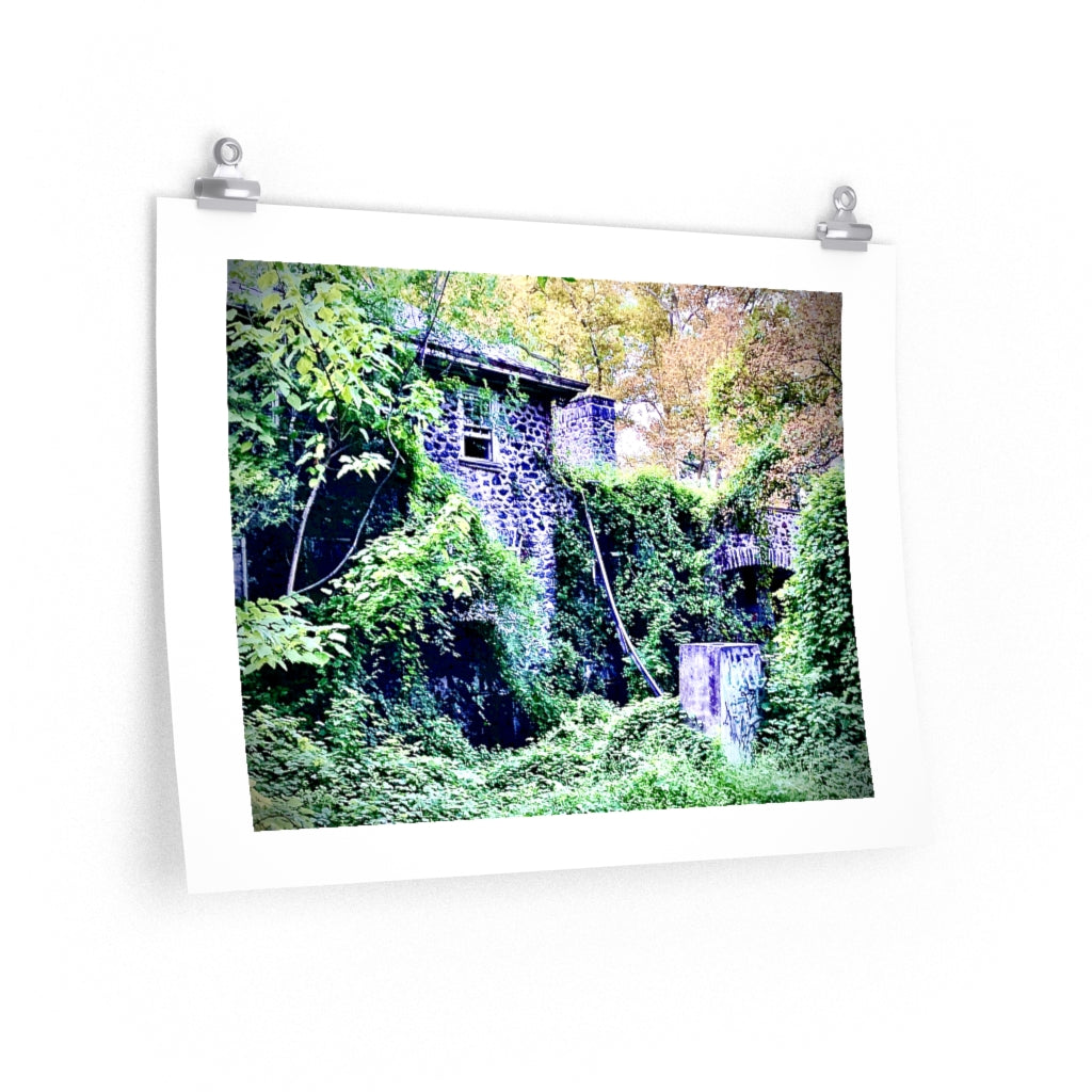 Overgrown -  Premium Matte poster