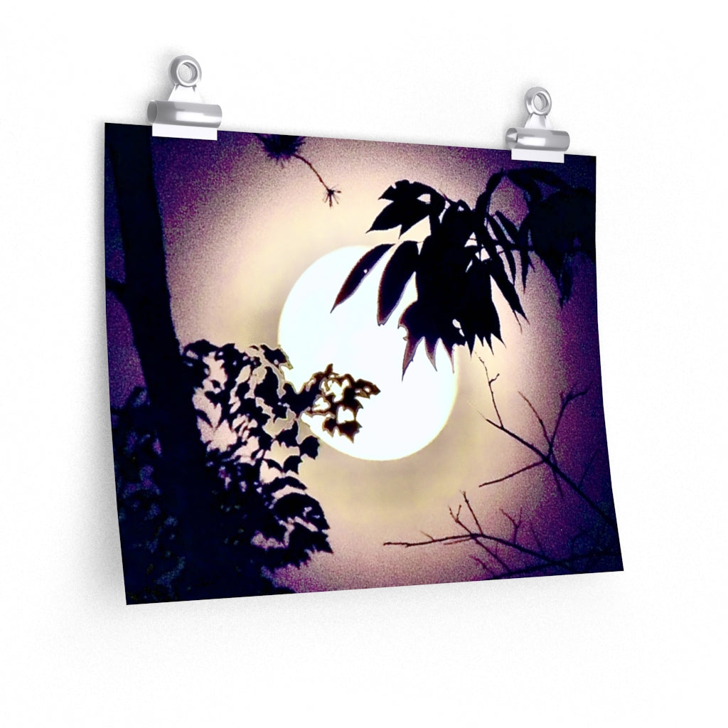 Moon 8 - Premium Matte poster