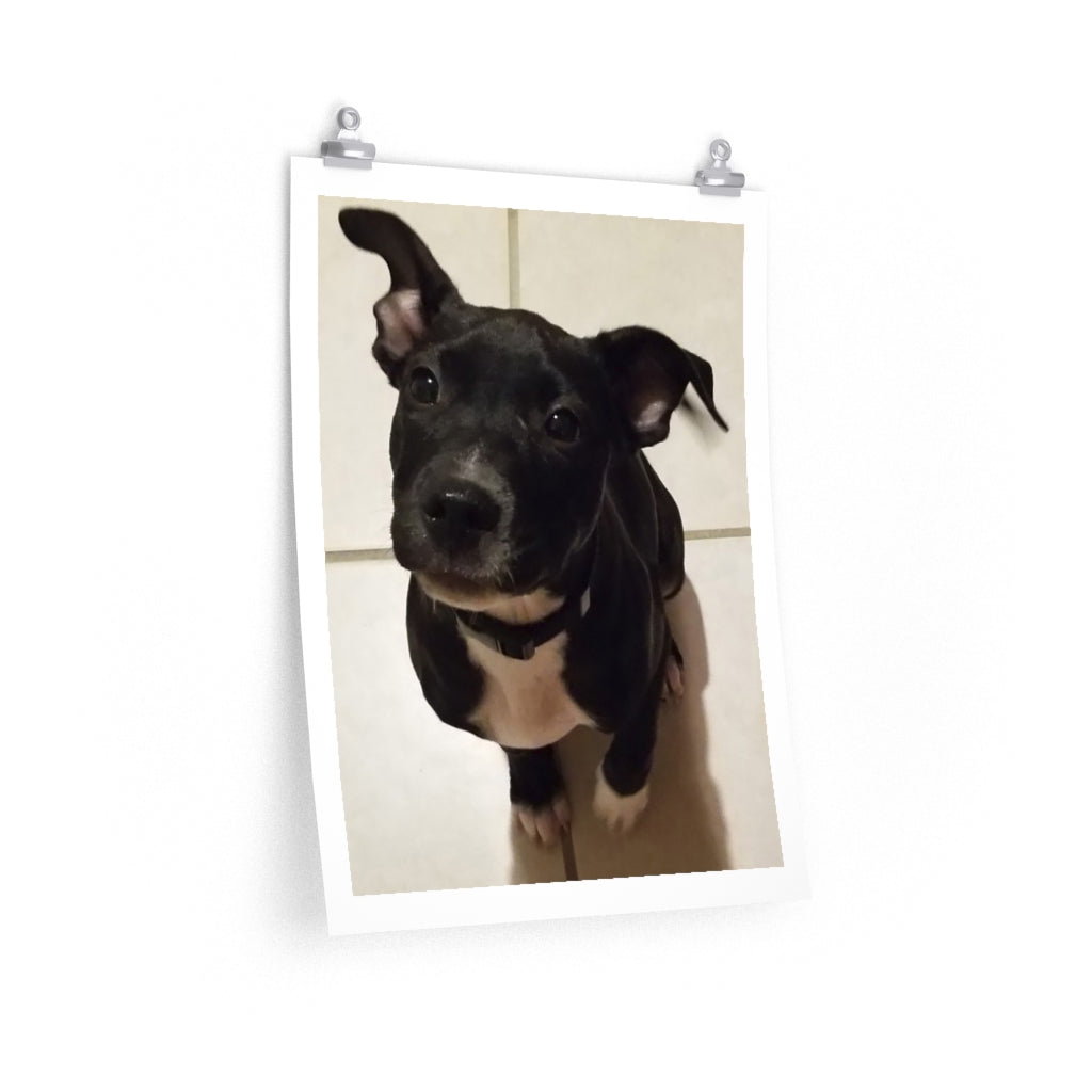 Cutie 1 - Premium Matte poster